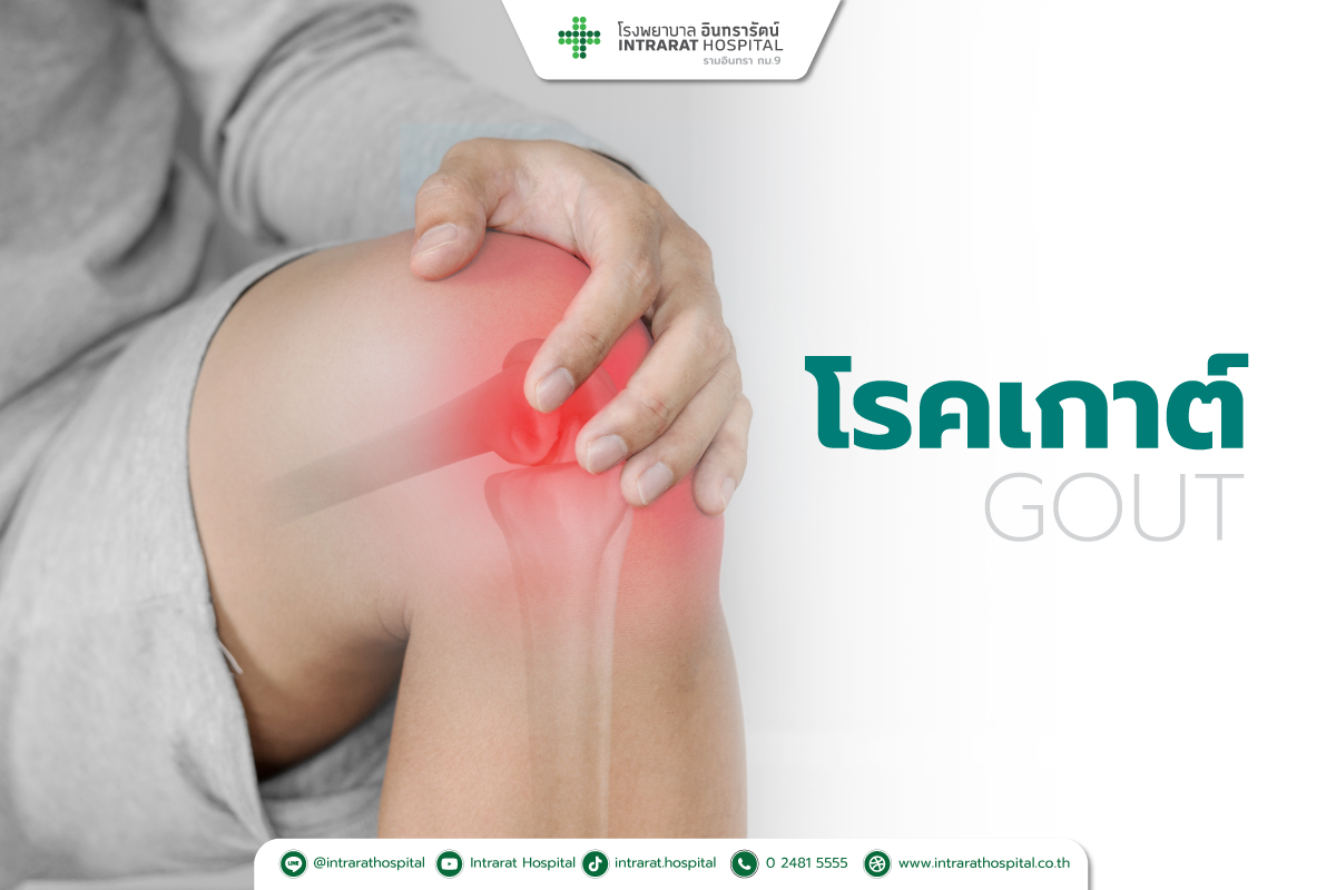 โรคเกาต์ (Gout) 
