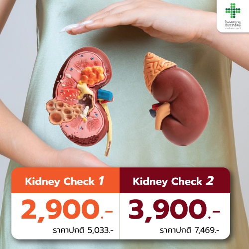 Program Kidney Check