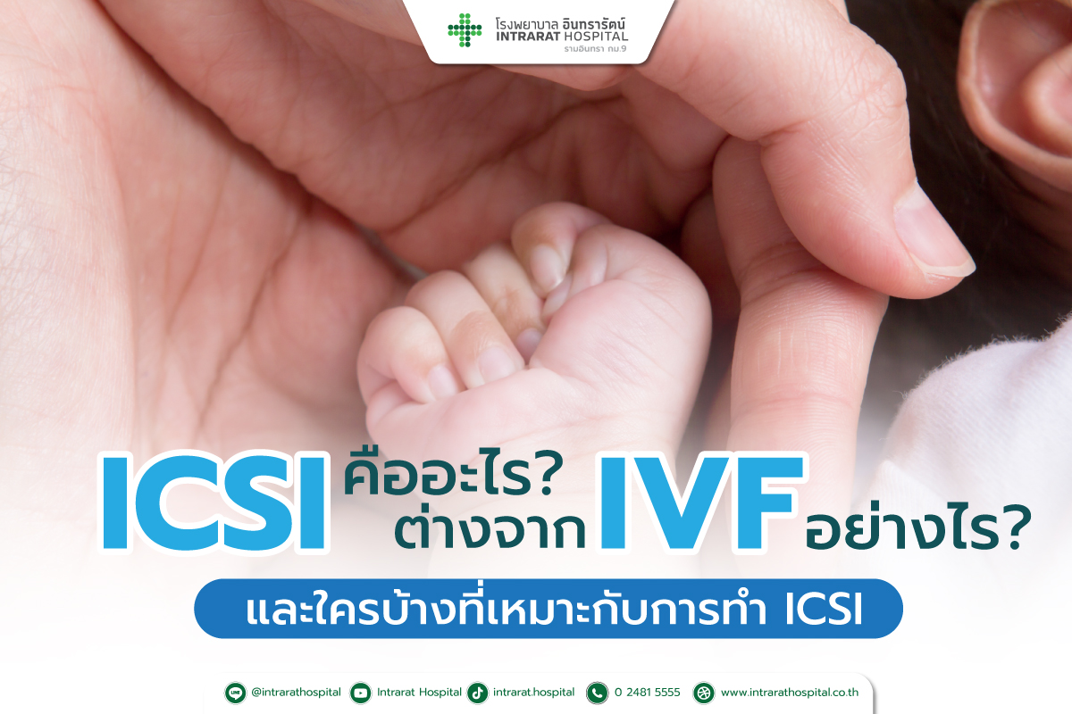 ICSI คืออะไร? ต่างจาก IVF อย่างไร และใครบ้างที่เหมาะกับการทำ ICSI