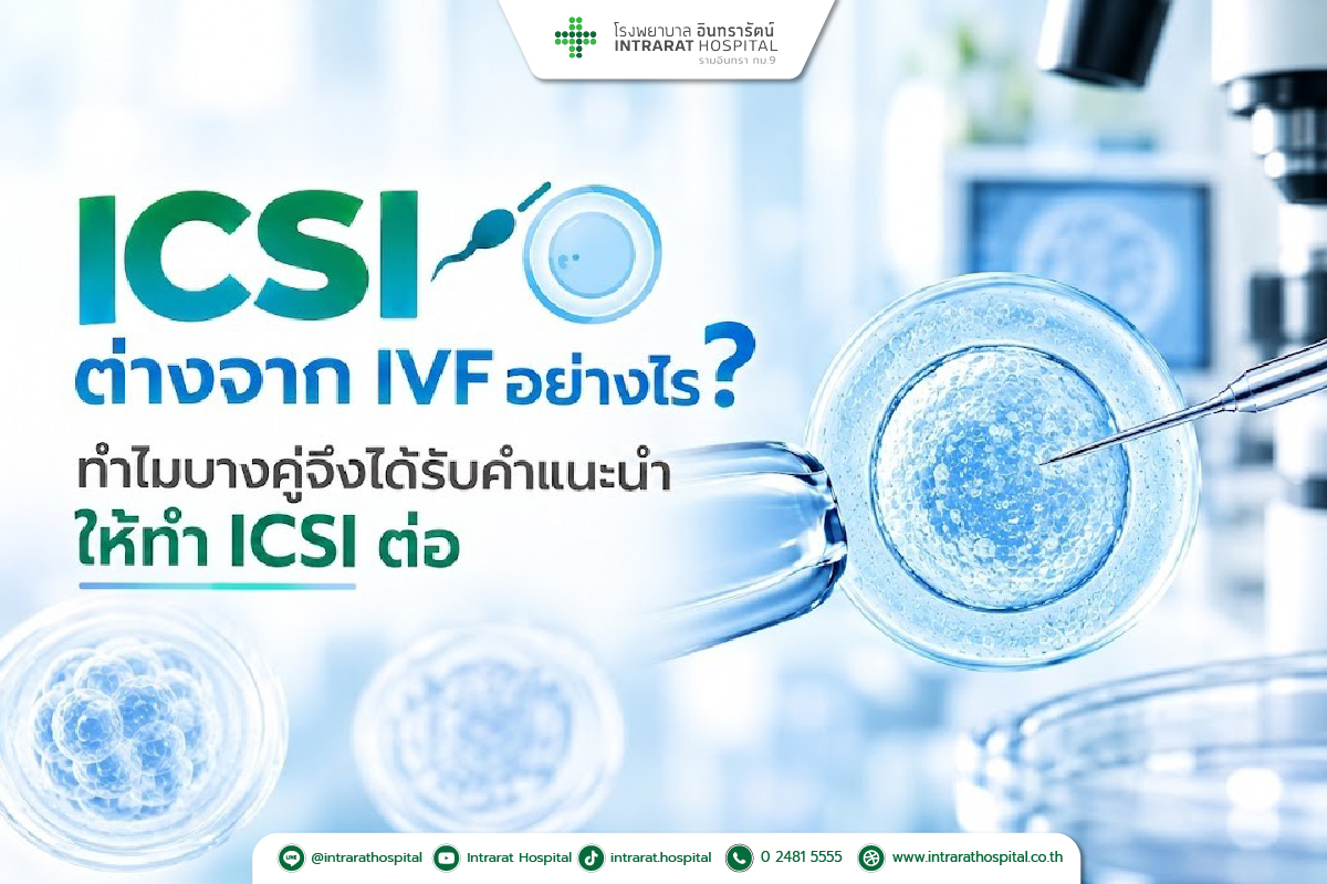 ICSI ต่างจาก IVF อย่างไร? ทำไมบางคู่จึงได้รับคำแนะนำให้ทำ ICSI